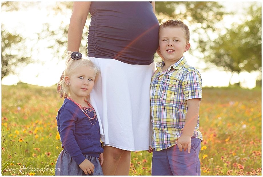 Perrysburg Maternity Photographer