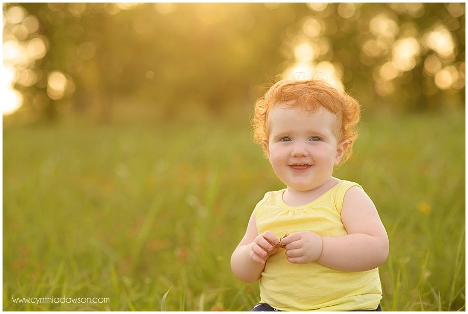 baby photographer toledo ohio