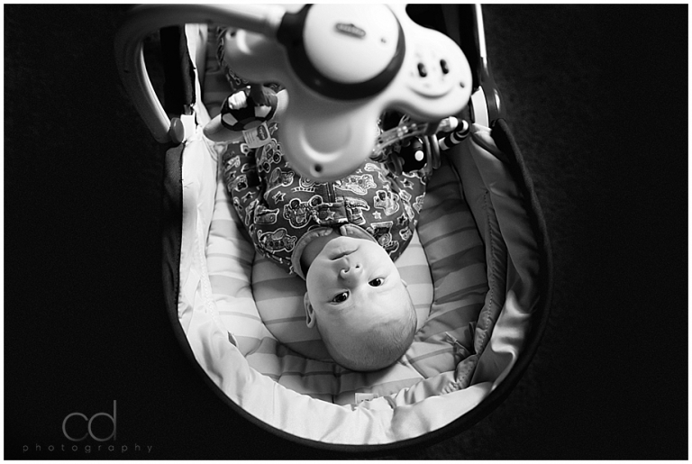 lifestyle baby photographer toledo ohio