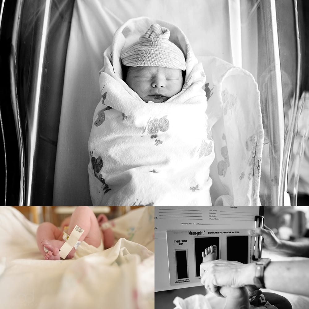 after birth photography toledo ohio