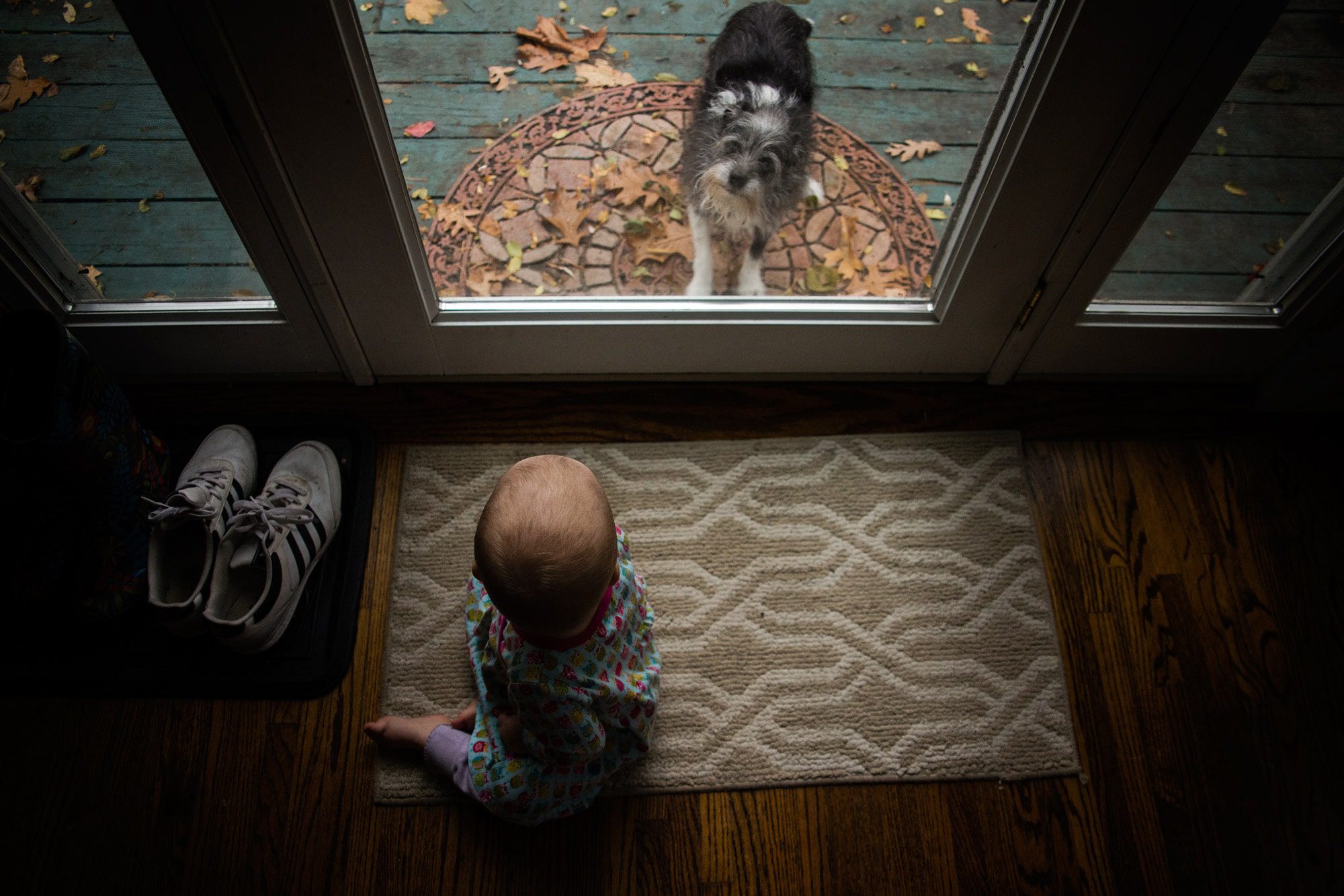 Northwest Ohio Photographer Mentor baby looking at dog photo by cynthia dawson photography 