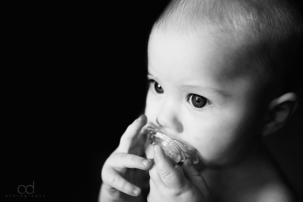 baby photography toledo ohio