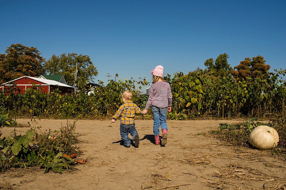 Fall Family Photographer Toledo Ohio