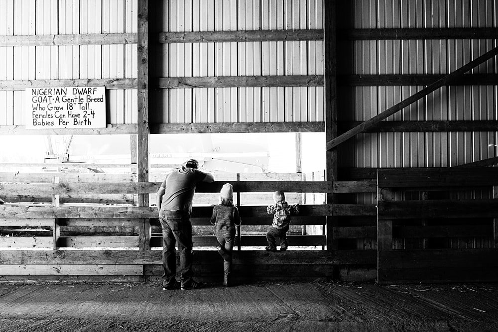 toledo ohio family photographer 