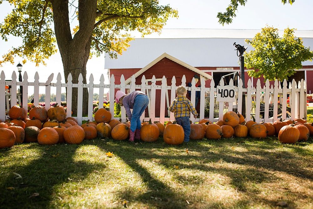 toledo family photographer 