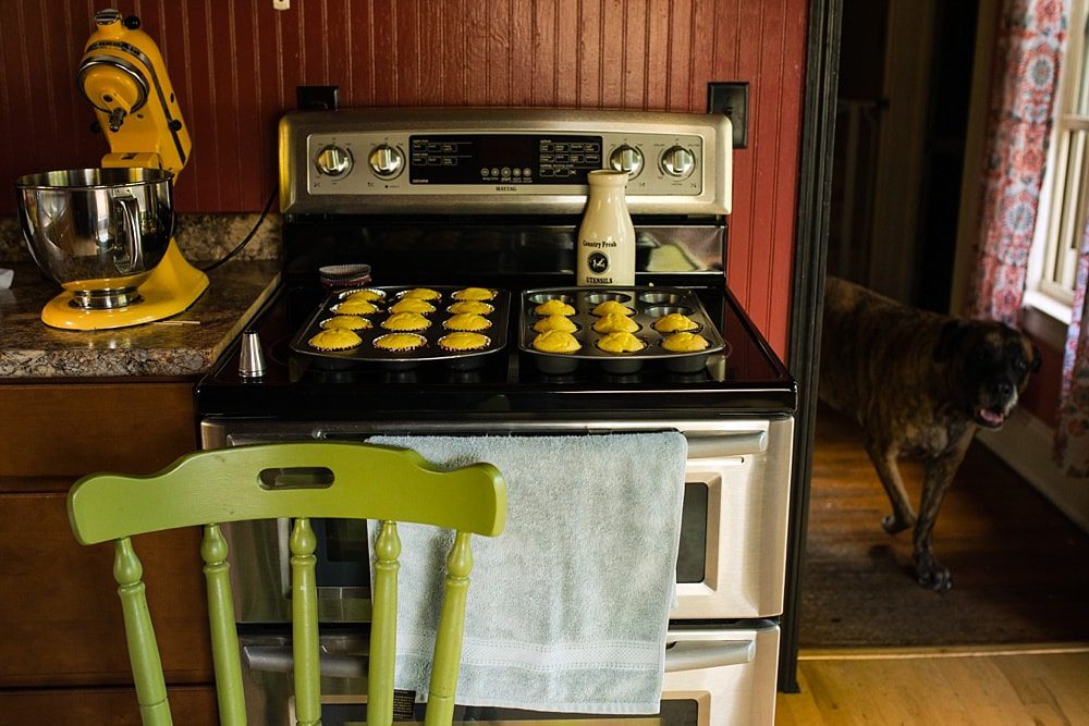 cupcakes on the oven 