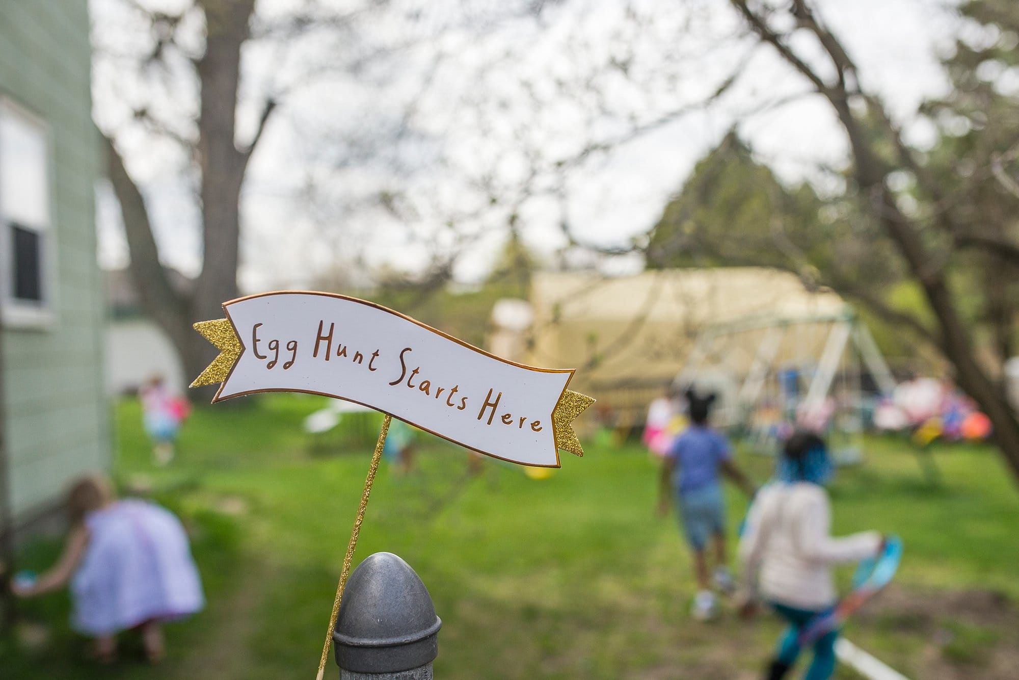 Child Photographer Perrysburg egg hunt sign photo by Cynthia Dawson Photography