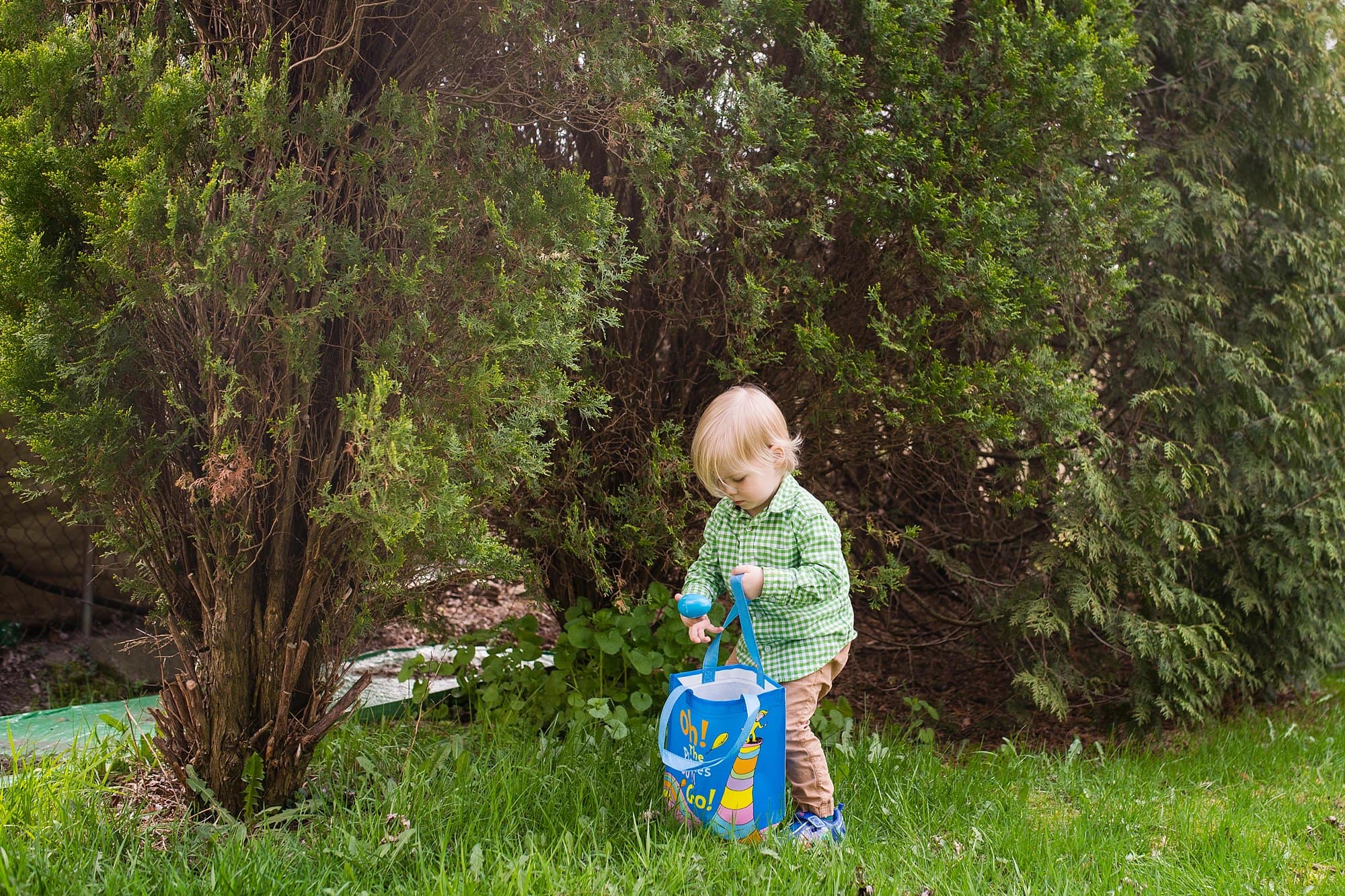 Child Photographer Perrysburg toddler picking up easter egg photo by Cynthia Dawson Photography