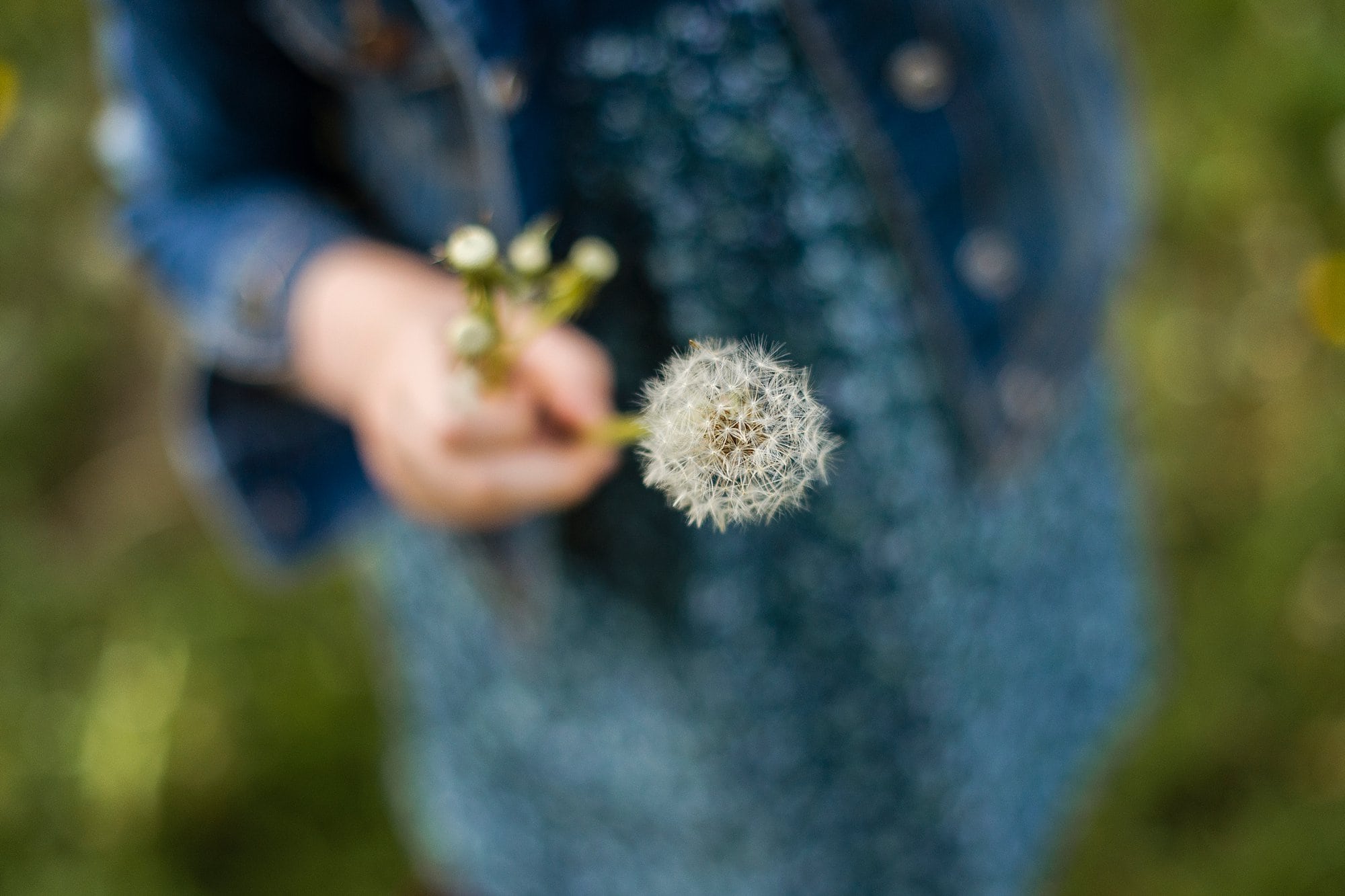 toledo lifestyle photo session girl spinning flower photo by Cynthia Dawson Photography