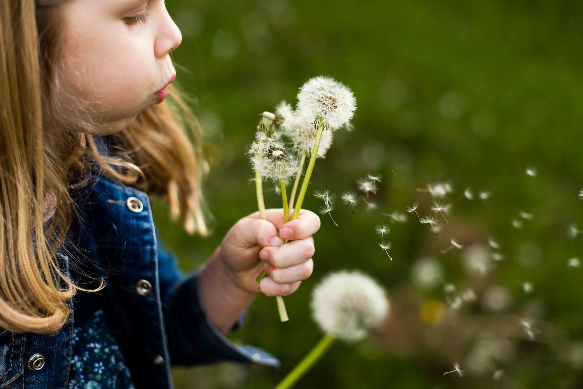 toledo lifestyle photo sessions girl blowing flower photo by Cynthia Dawson Photography