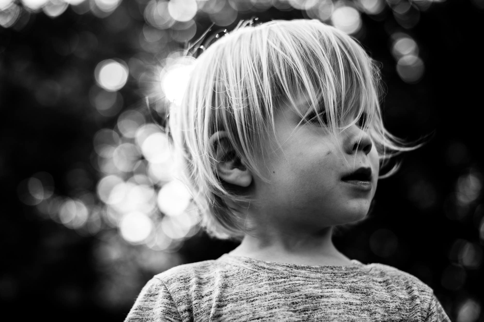 Northwest Ohio Family Photographer boy photo by Cynthia Dawson Photography