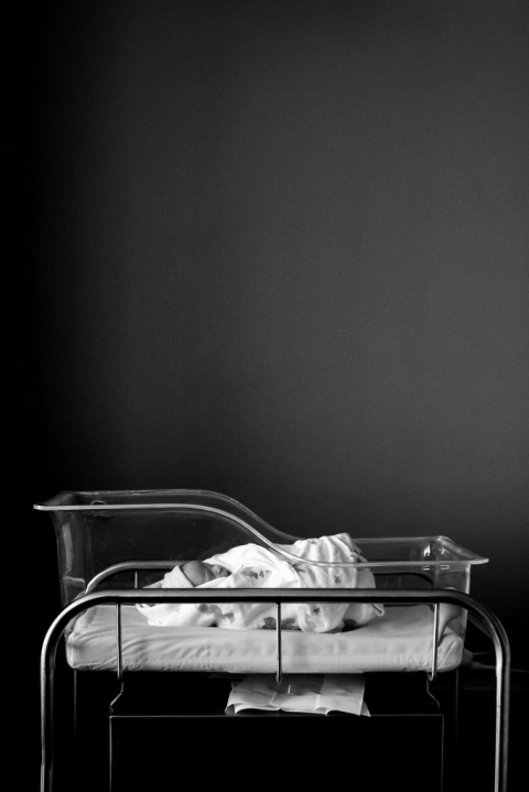 Toledo Newborn Photographers newborn photo by Cynthia Dawson Photography