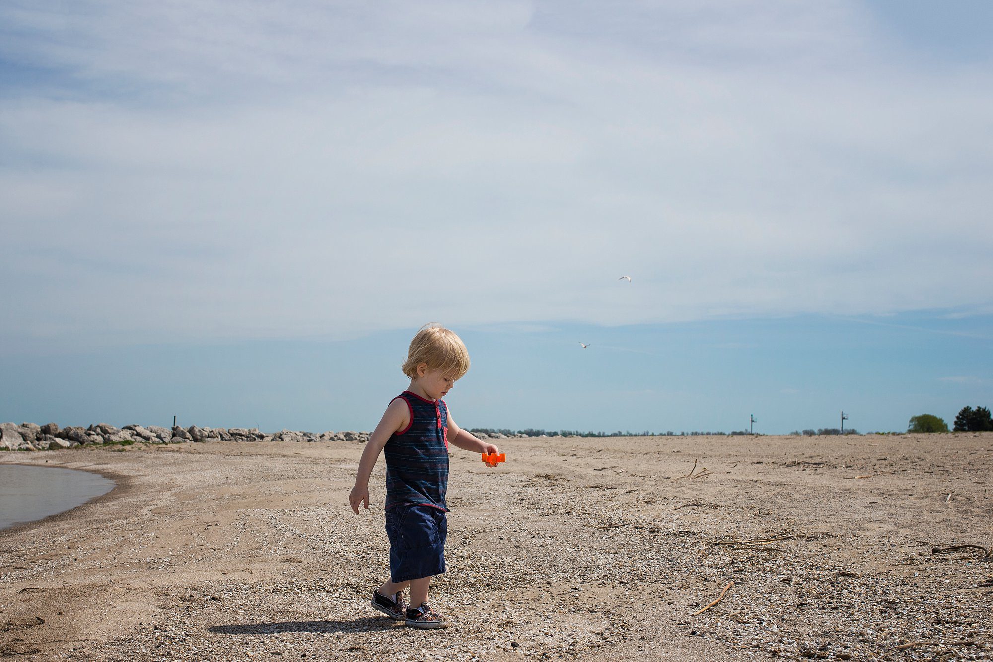 Family Photographer in Toledo Ohio toddler by lake photo by Cynthia Dawson Photography