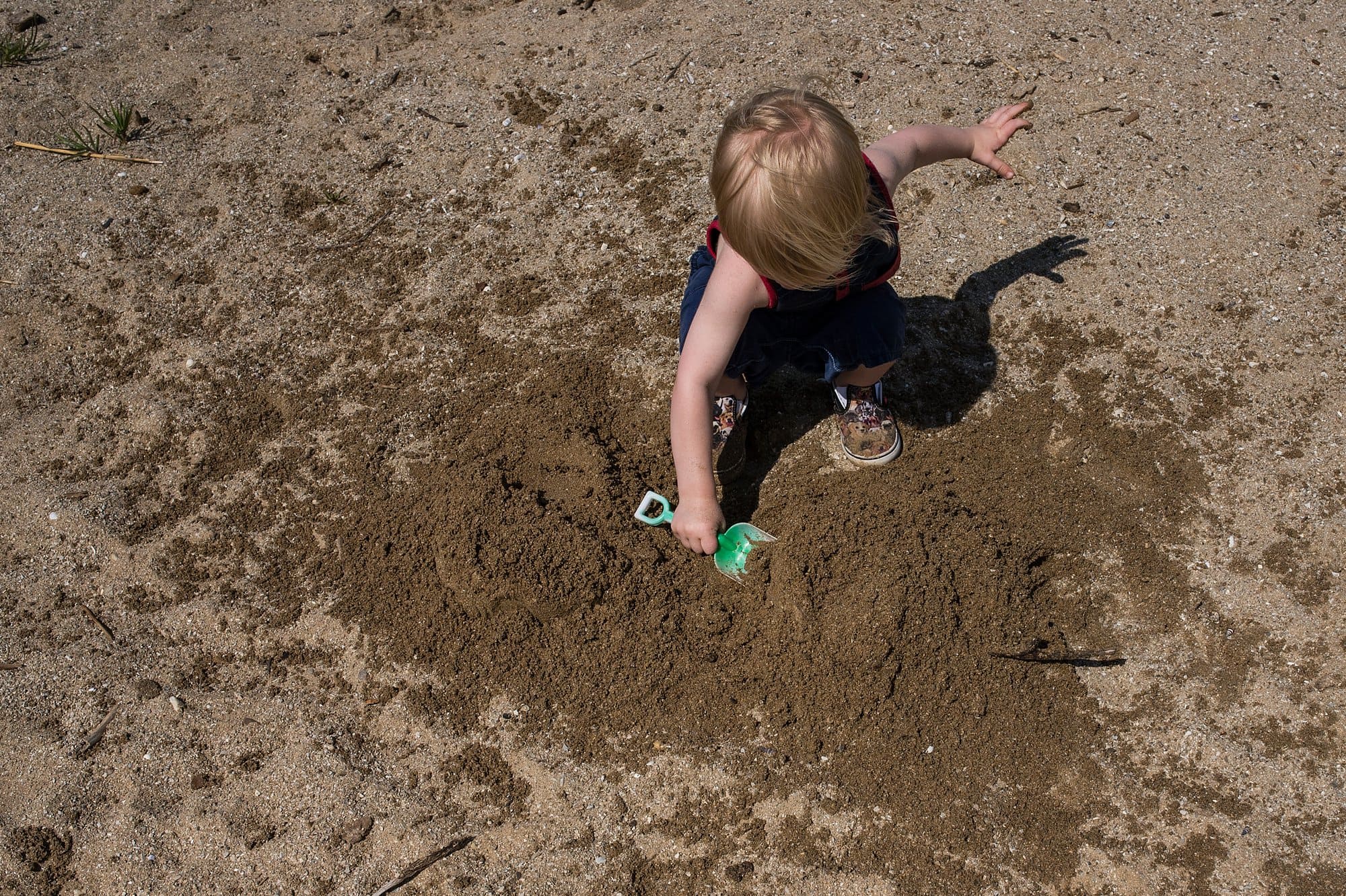 Family Photographer in Toledo Ohio boy playing in the sand photo by Cynthia Dawson Photography