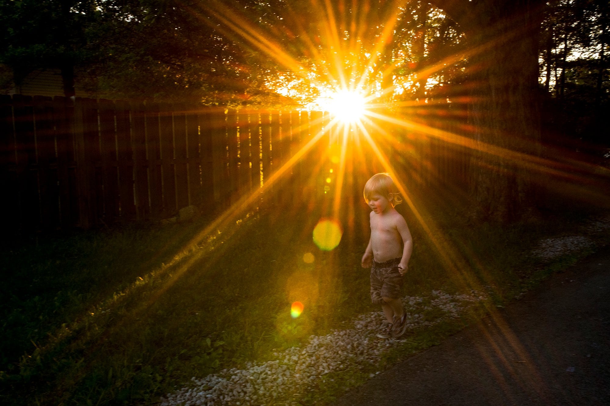 Family Photographer Northwest Ohio boy in sun photo by Cynthia Dawson Photography