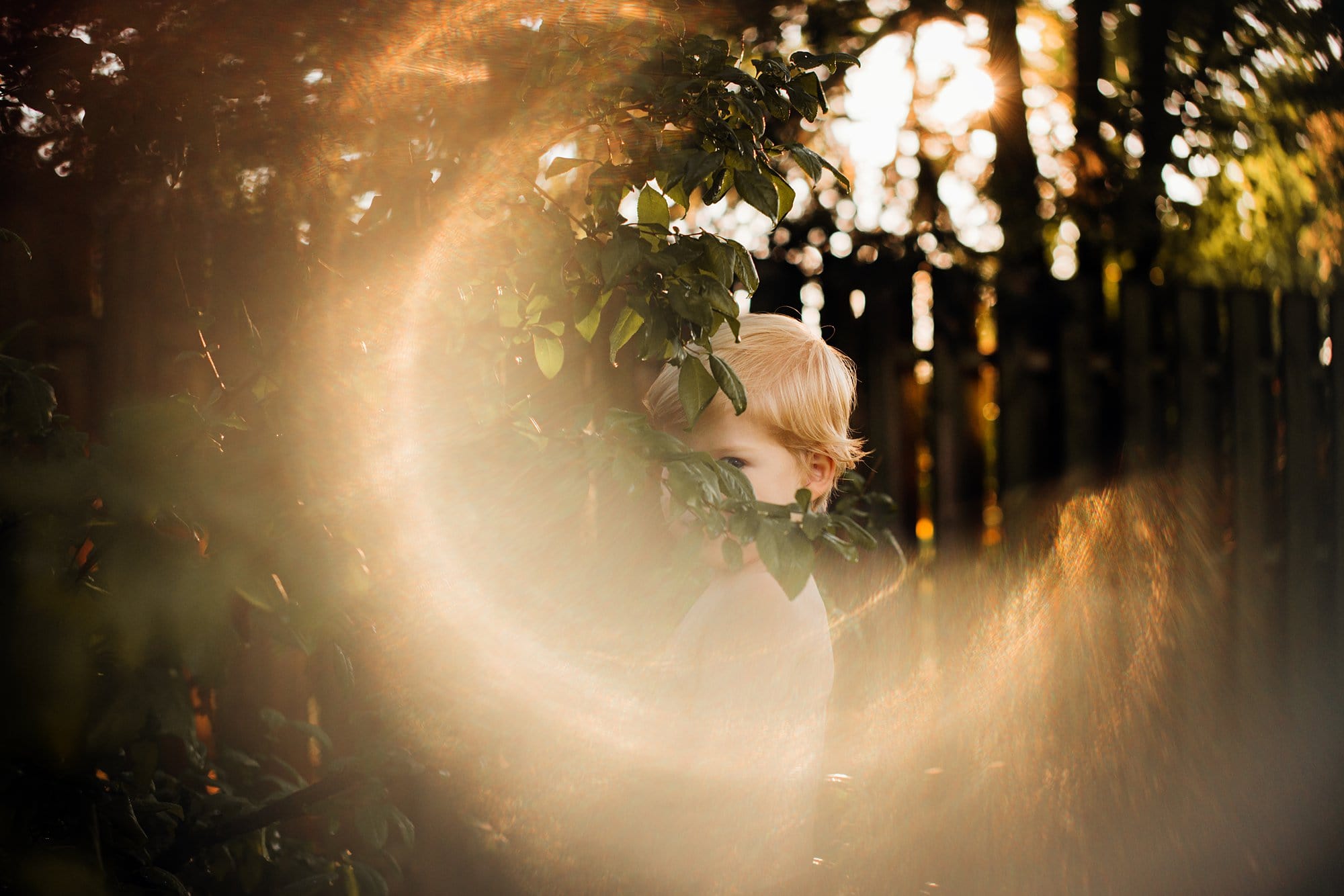 Northwest Ohio Lifestyle Photographer boy outside surrounded by sun photo by Cynthia Dawson Photography