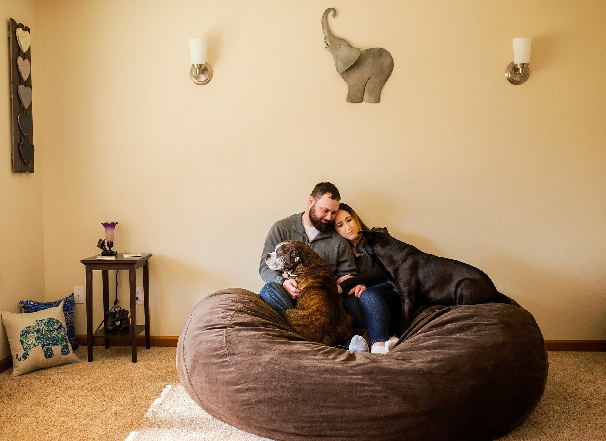 toledo ohio couple photographer couple with dogs photo by cynthia dawson photography