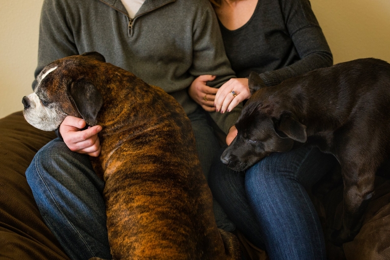 toledo ohio couple photographer couple at home with two dogs photo by cynthia dawson photography