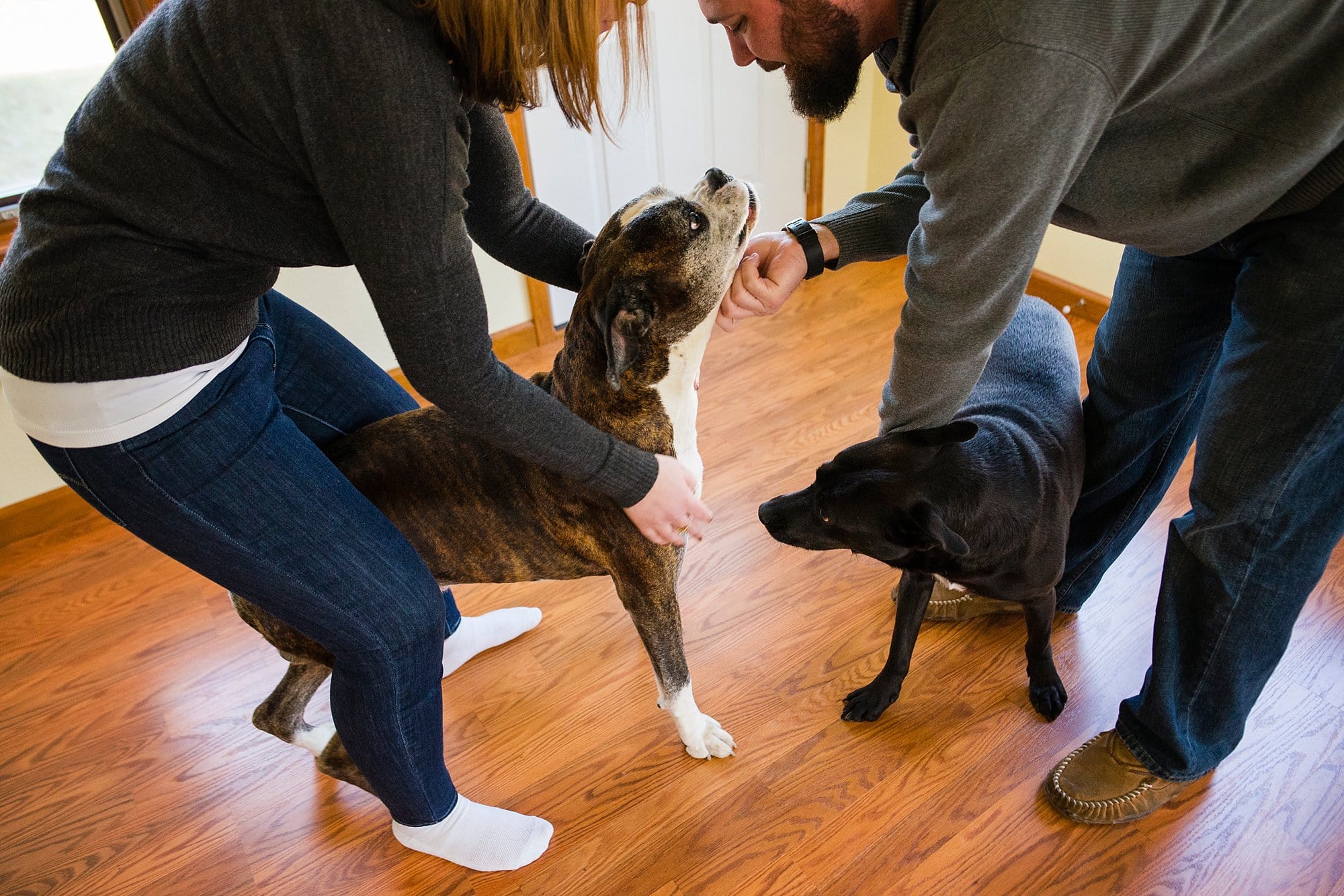 toledo ohio couple photographer couple petting dogs photo by cynthia dawson photography