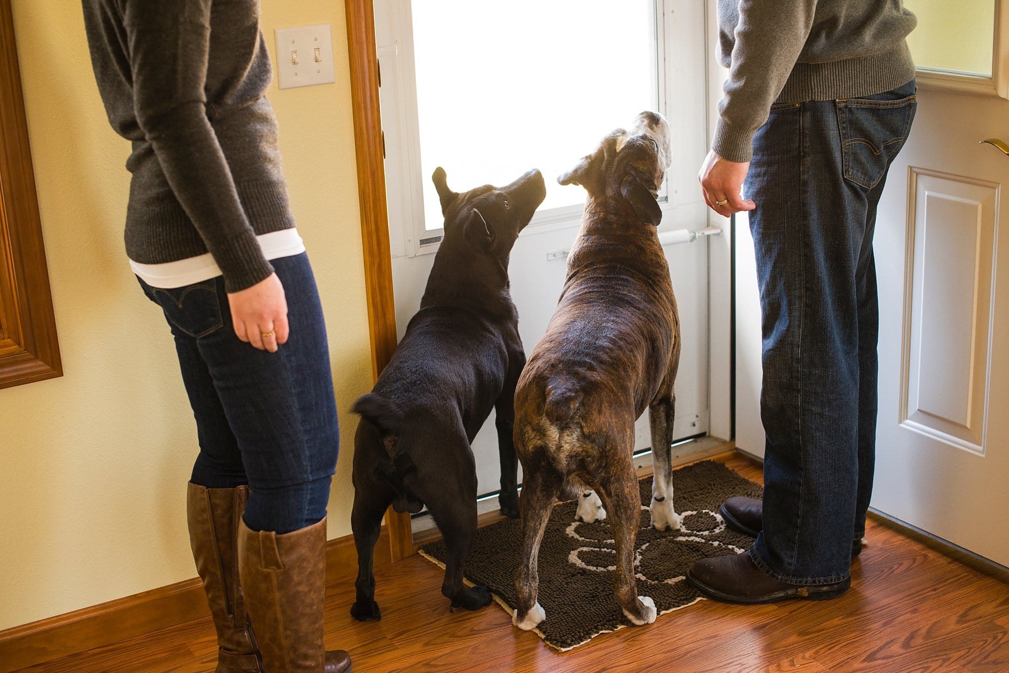 toledo ohio couple photographer couple with dogs photo by cynthia dawson photography