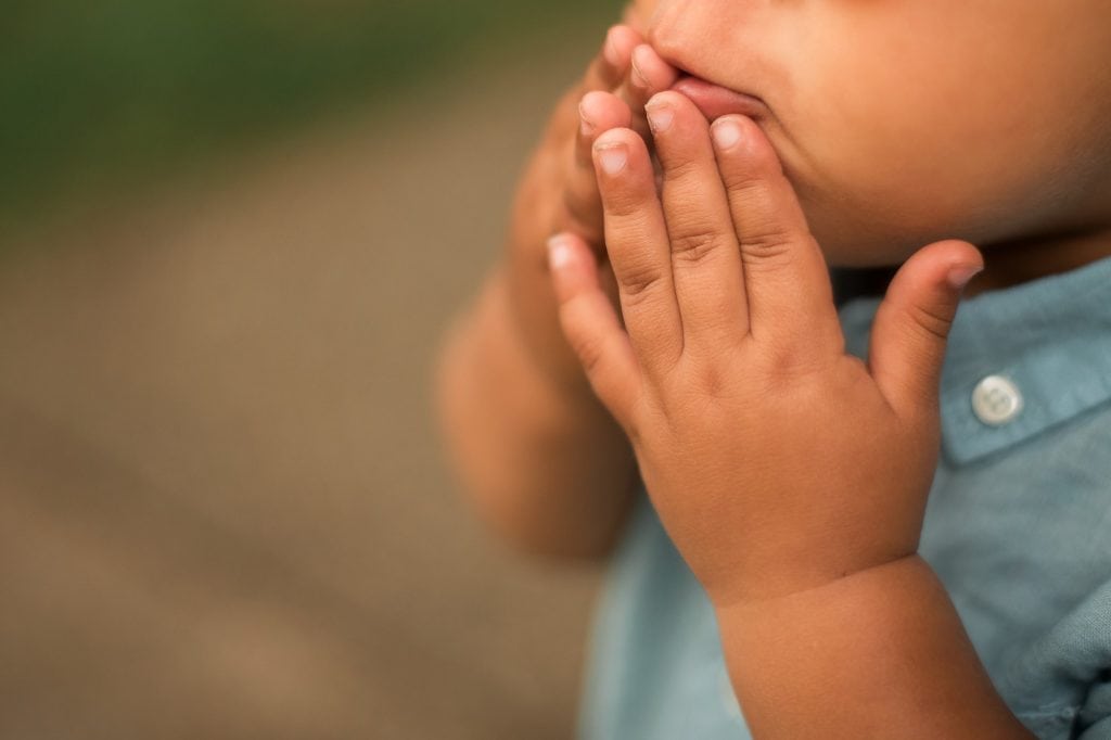 Family Photographer Perrysburg Ohio close up of toddler hands photo by Cynthia Dawson Photography