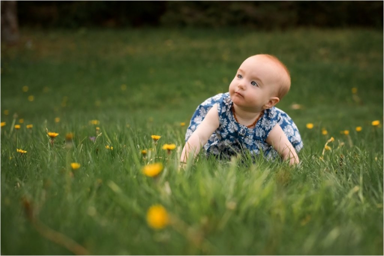 Northwest Ohio Family Lifestyle Photographer family baby crawling on grass photo by Cynthia Dawson Photography