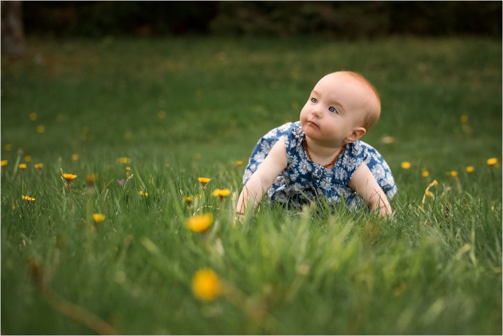 Northwest Ohio Family Lifestyle Photographer family baby crawling on grass photo by Cynthia Dawson Photography