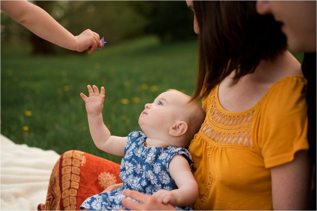 Northwest Ohio Family Lifestyle Photographer family baby reaching for flower photo by Cynthia Dawson Photography