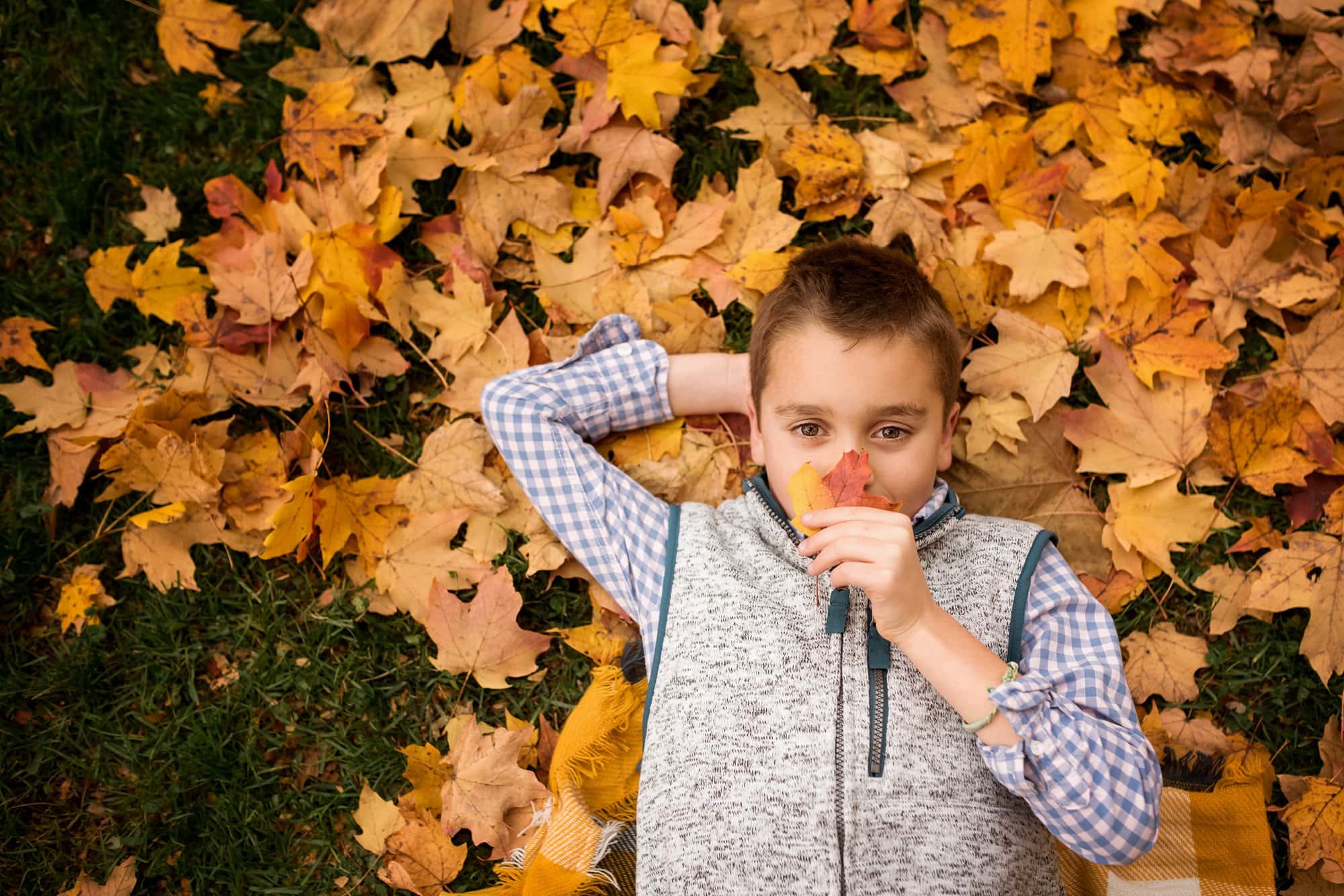 Toledo Fall Photographer boy in leaves photo by Cynthia Dawson Photography 