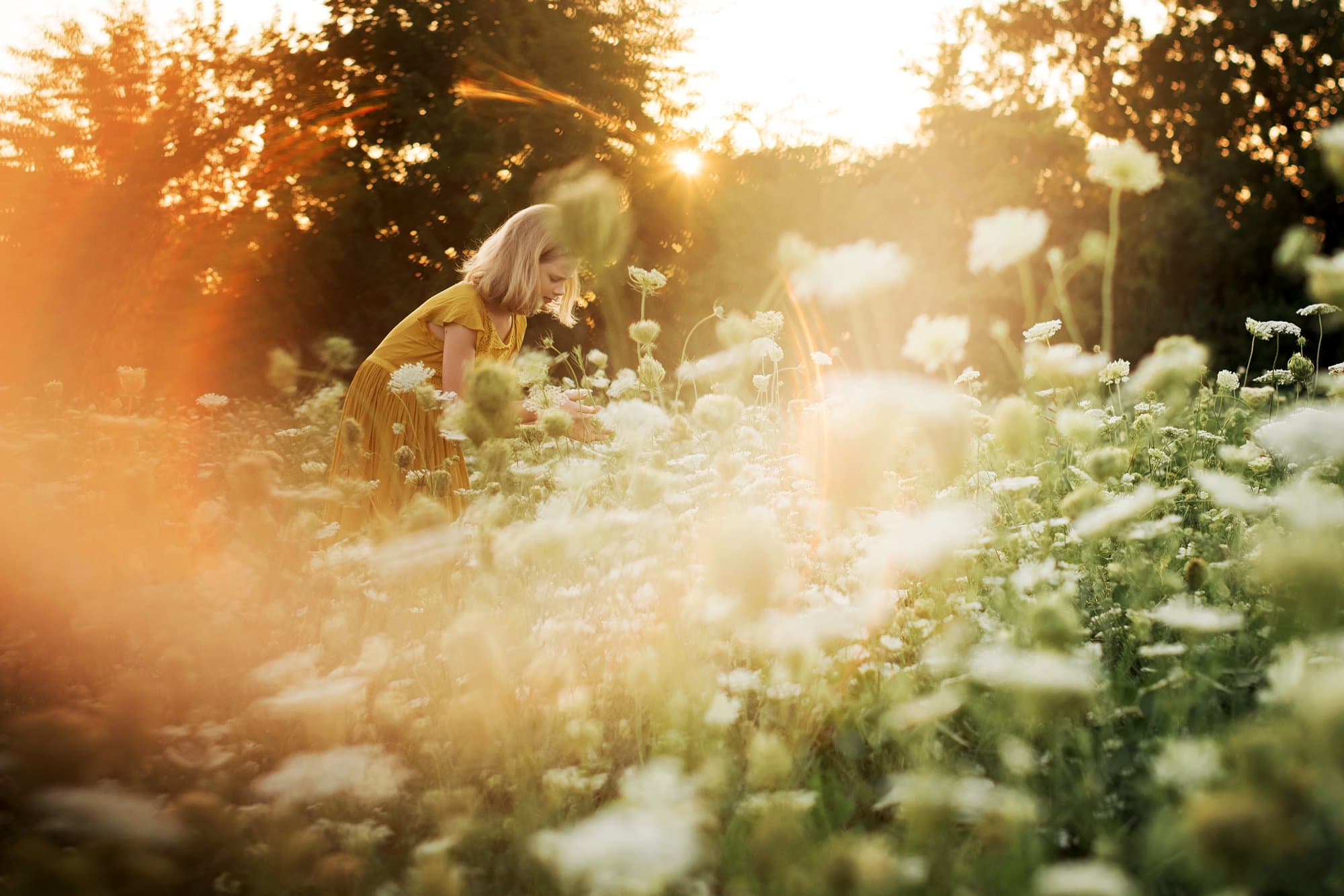 Toledo Family Photography girl in wildflowers photo by Cynthia Dawson Photography 