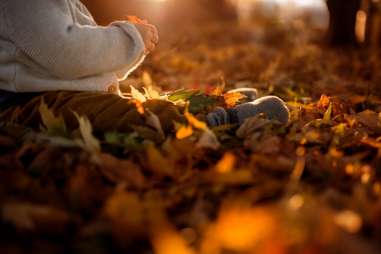 Perrysburg Child Photographer baby in fall leaves photo by Cynthia Dawson Photography 