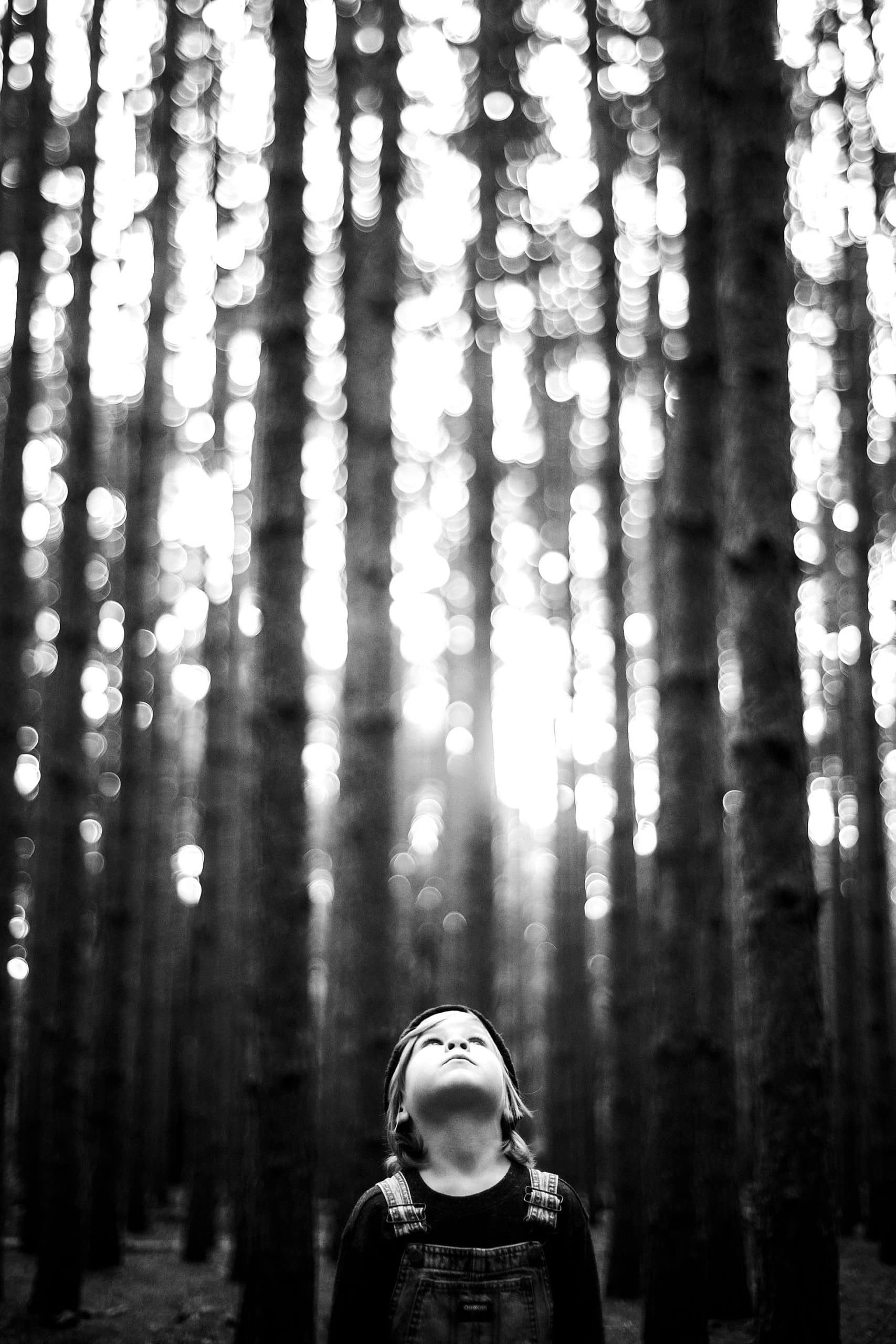 The Spot in Ohio boy in woods photo by Cynthia Dawson Photography 