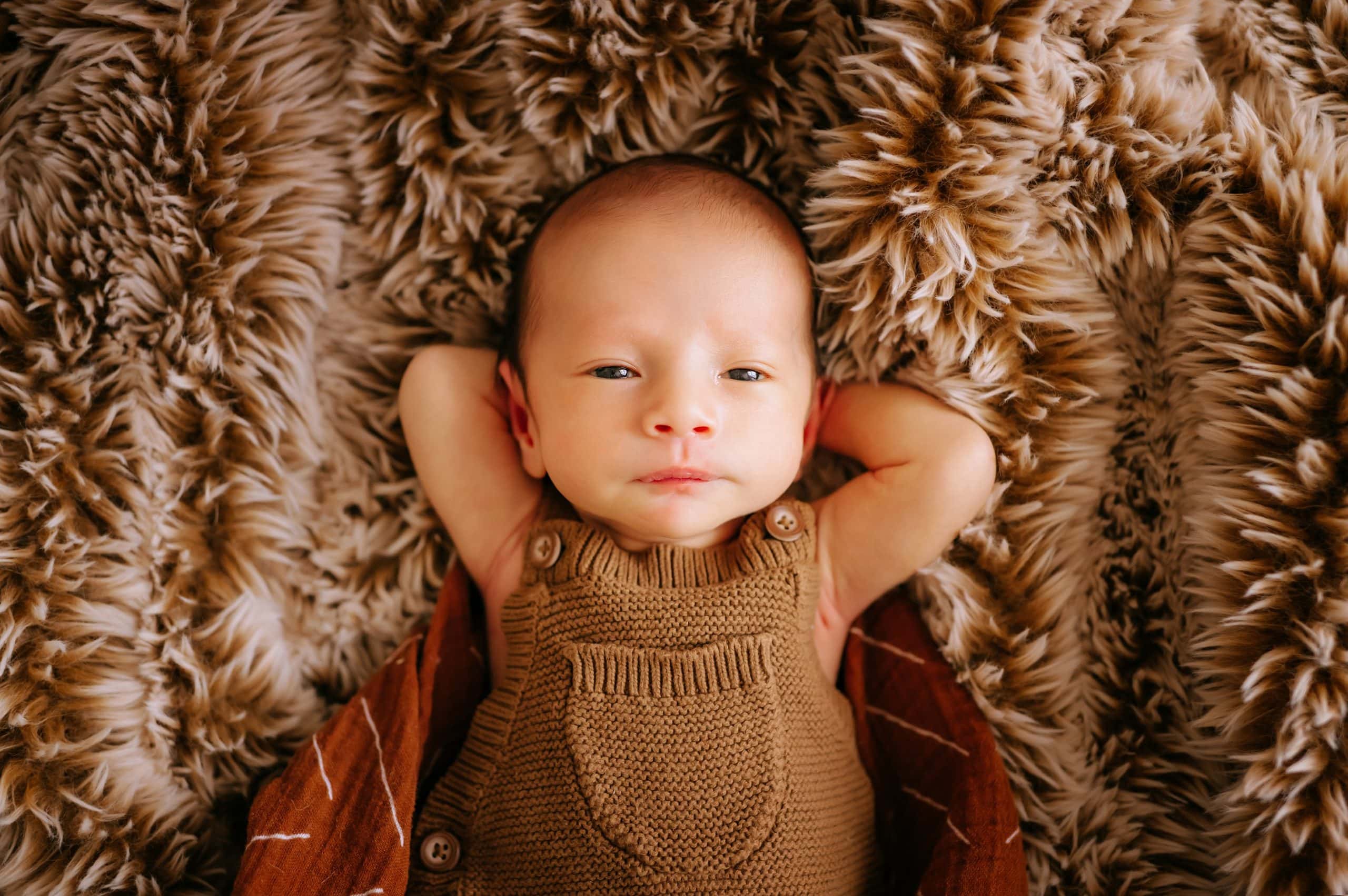 Best Newborn Photographers in Perrysburg