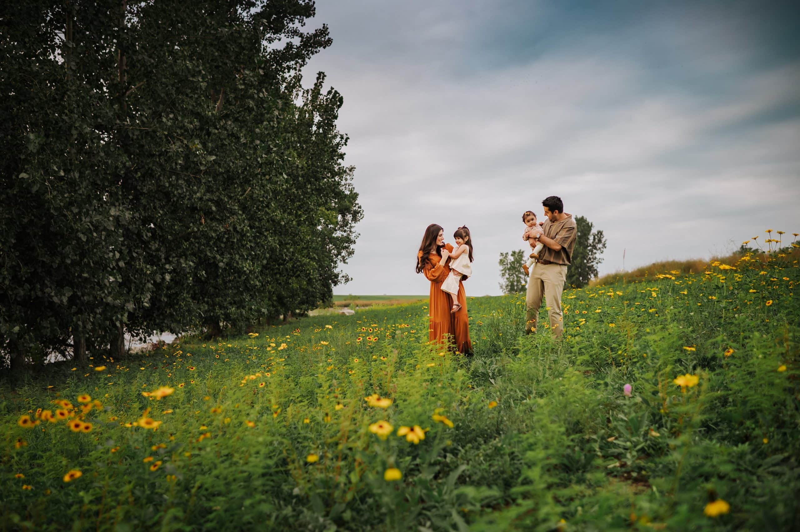 perrysburg ohio family photographer