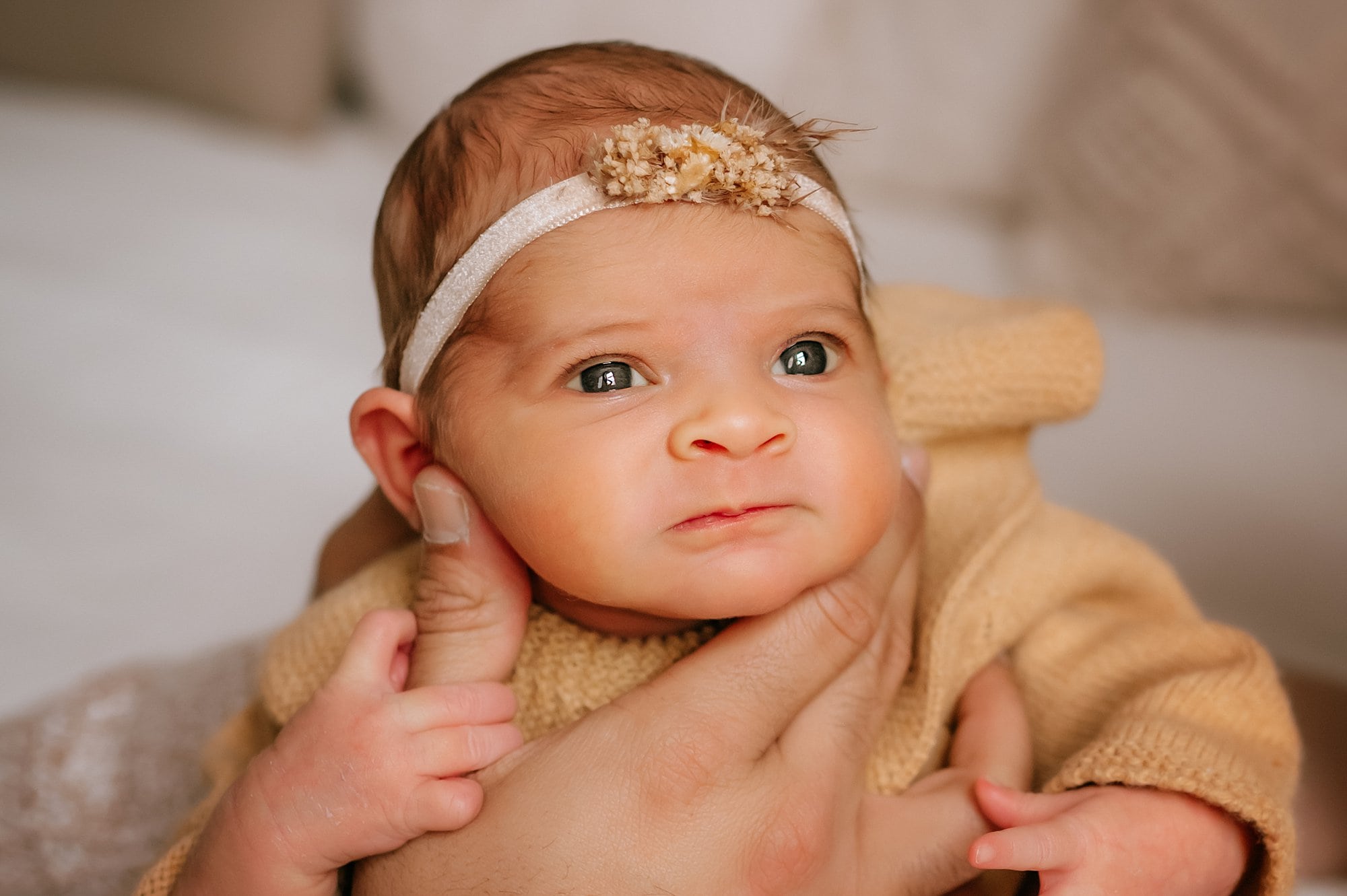 newborn photo studio session toledo ohio