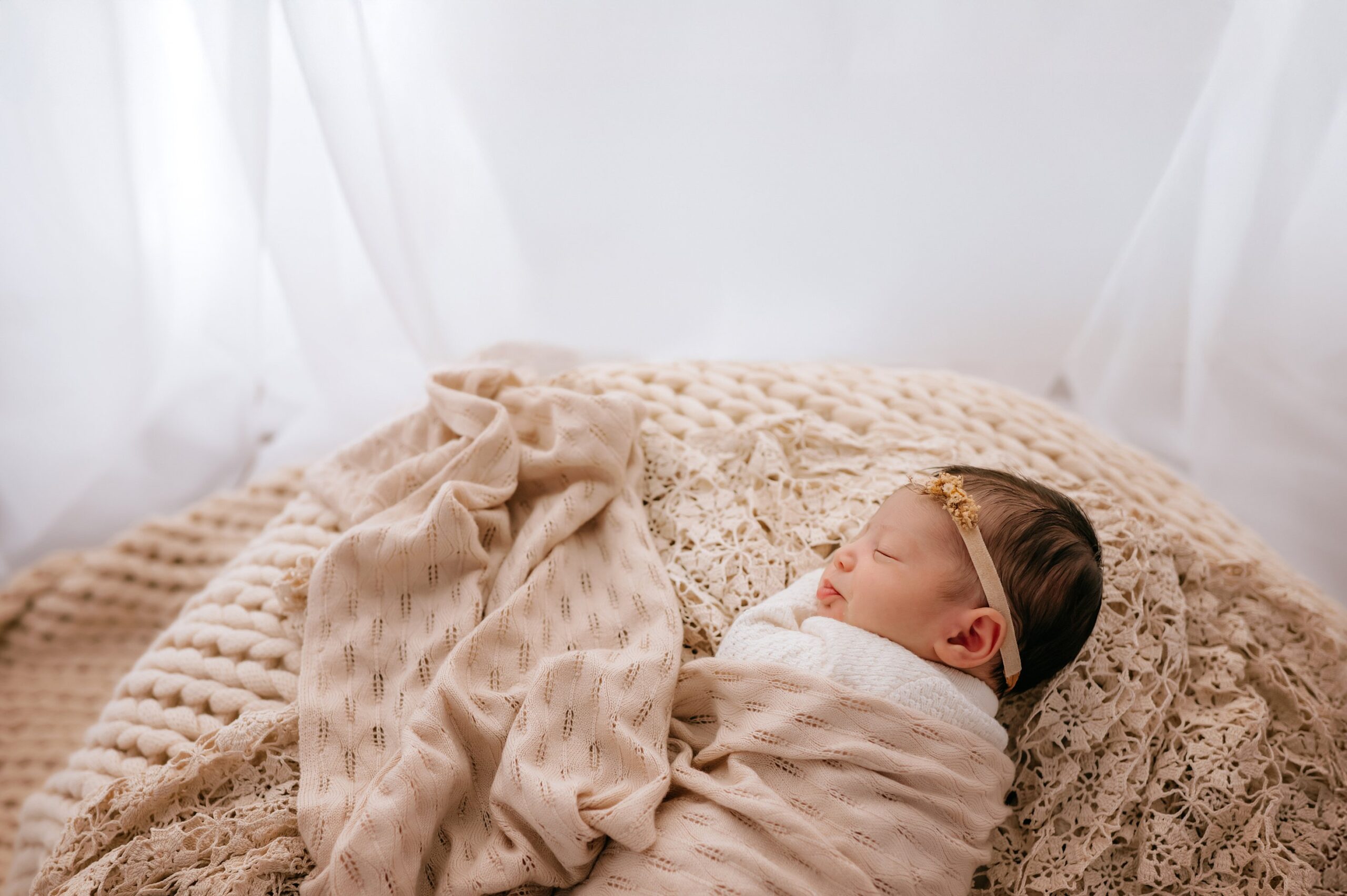 Newborn Photography Toledo OH