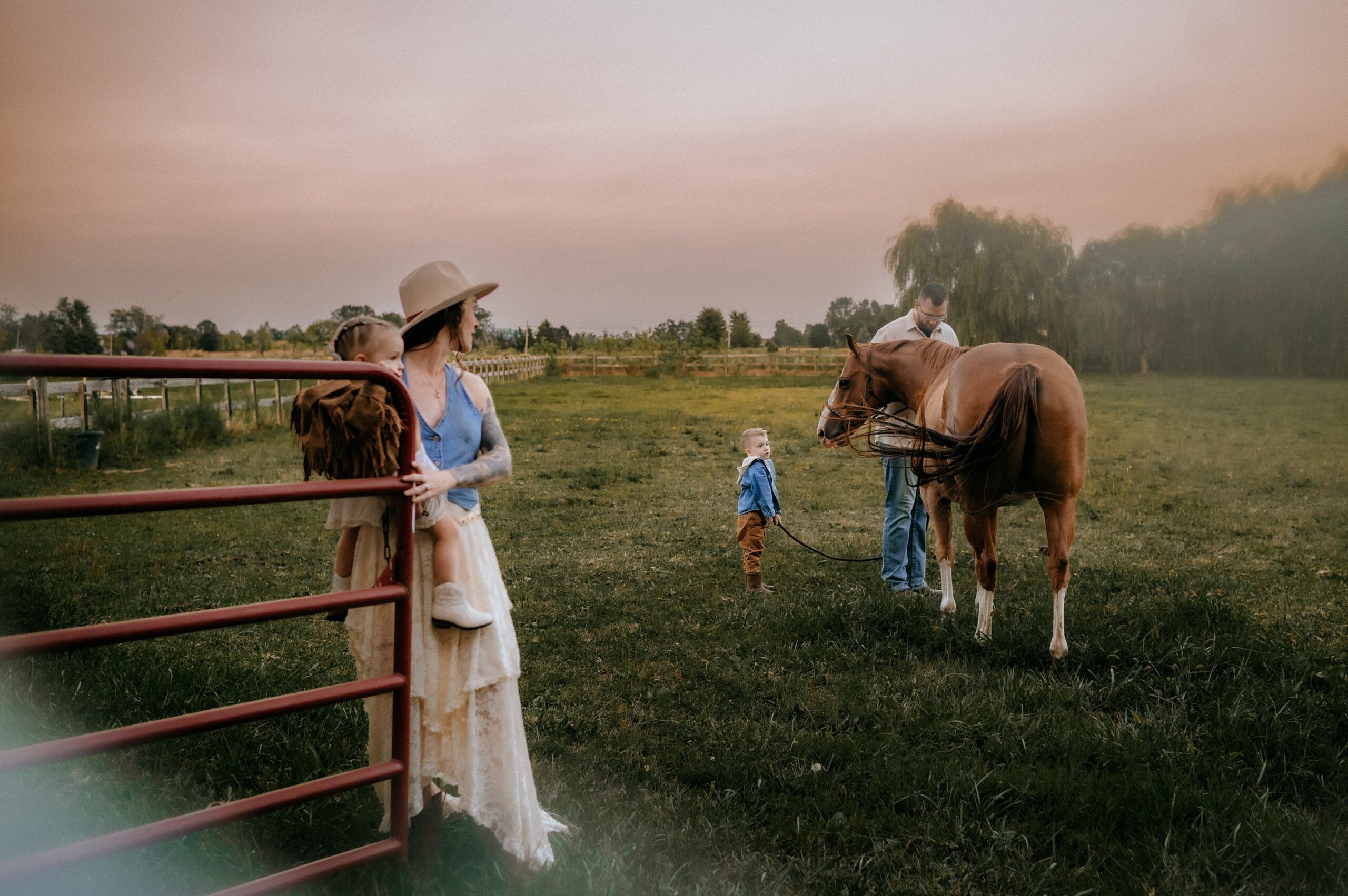 Horse Photography Toledo Ohio