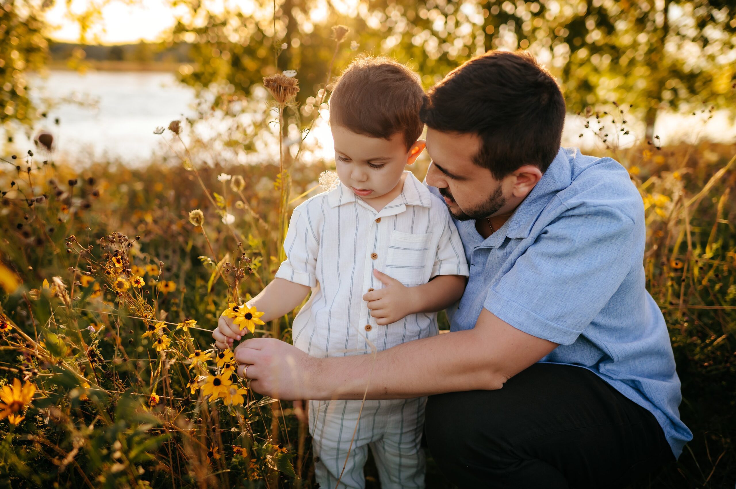sunset family photos toledo ohio