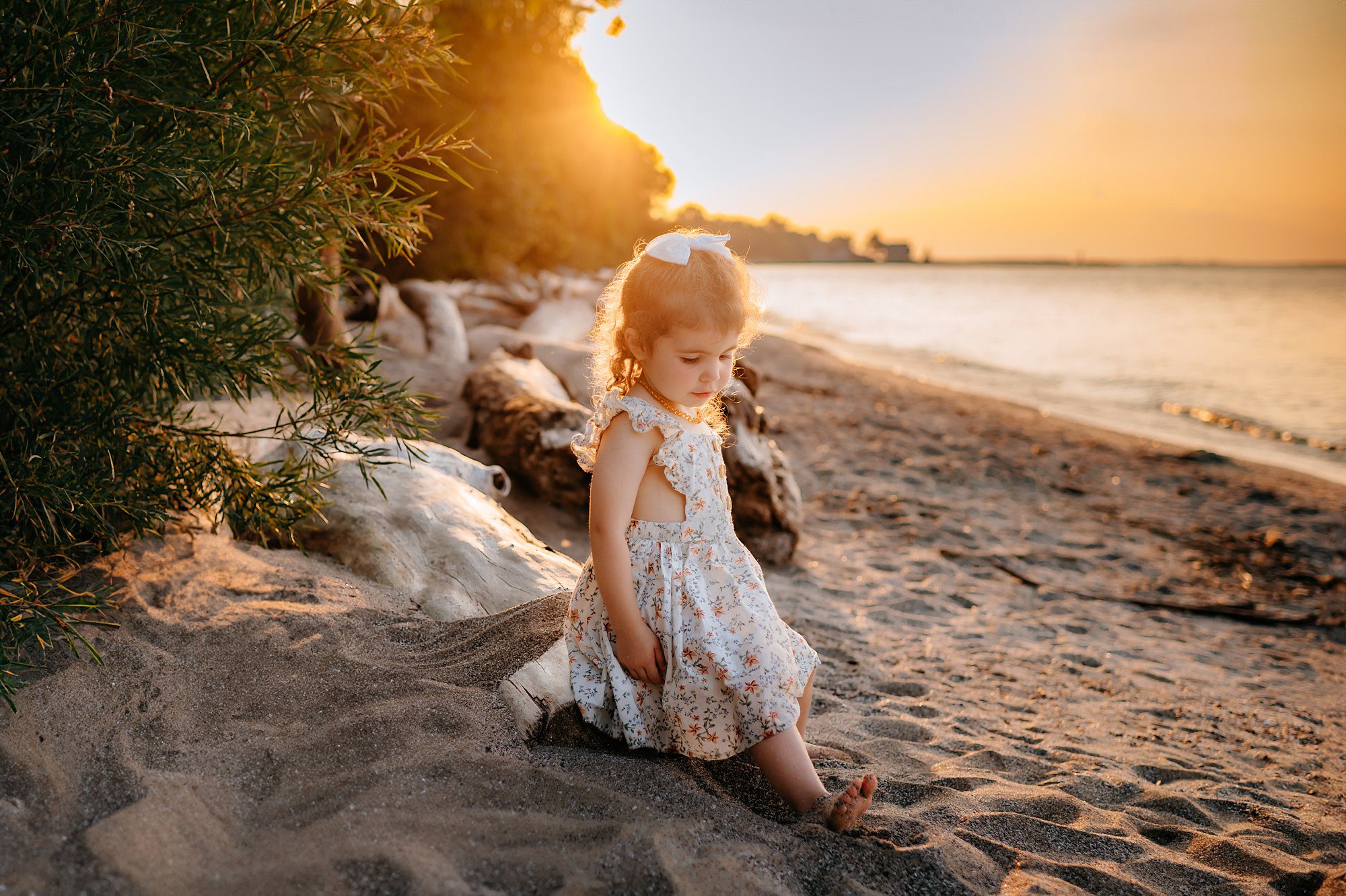 Sunset Photos Maumee Bay State Park