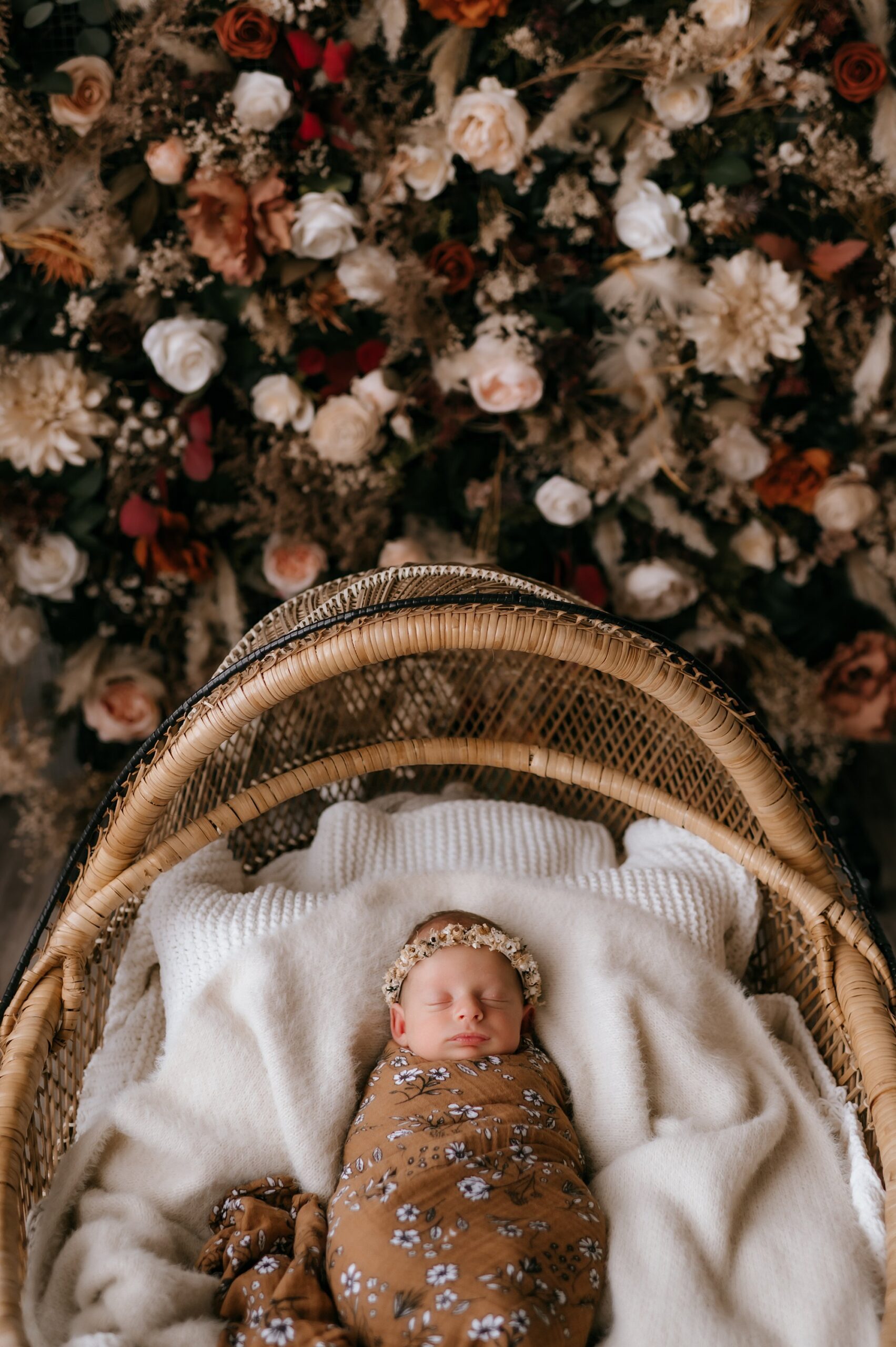 Best Toledo Ohio Newborn Photographer