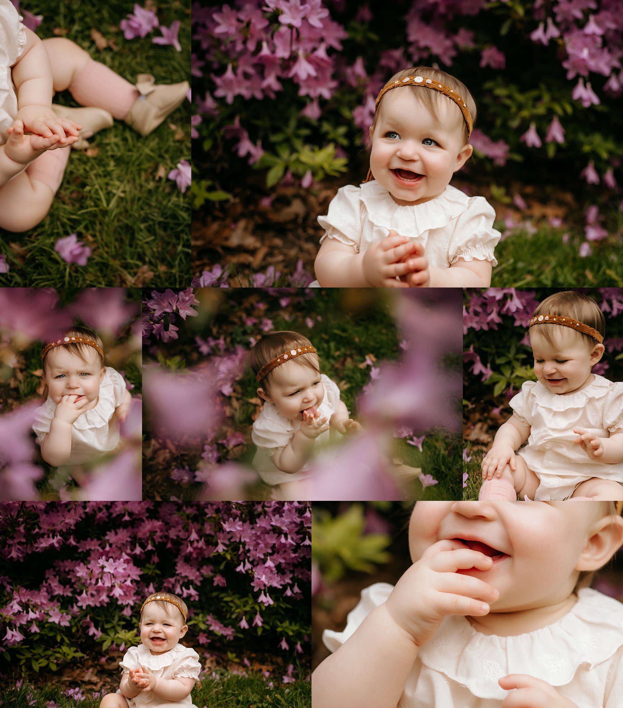 Photos at Toledo Botanical Gardens