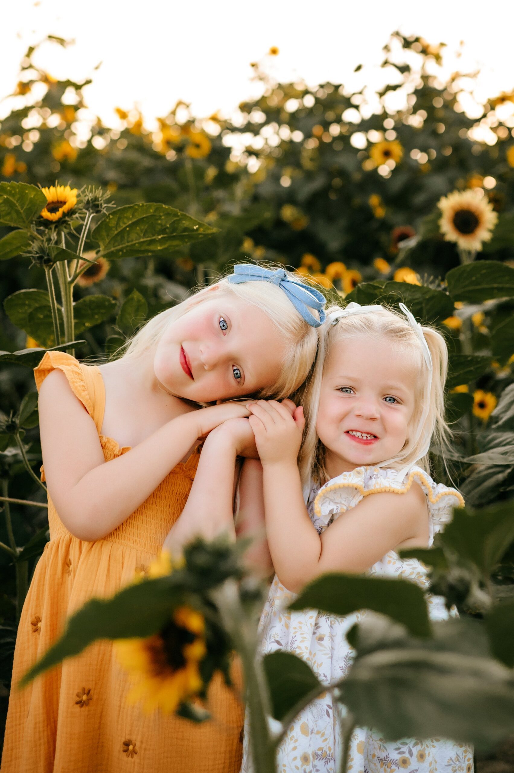 best family photographer in perrysburg ohio