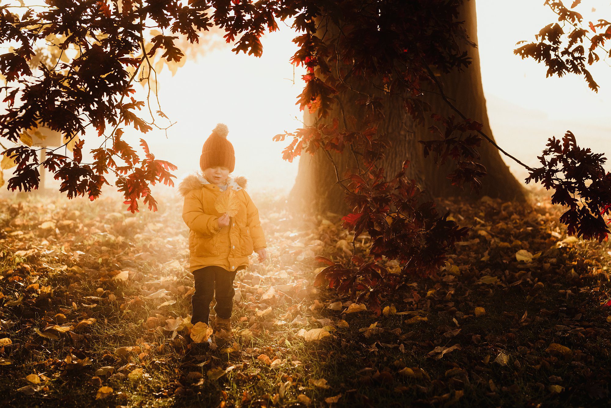 Fall Family Photos at Oak Openings in Ohio