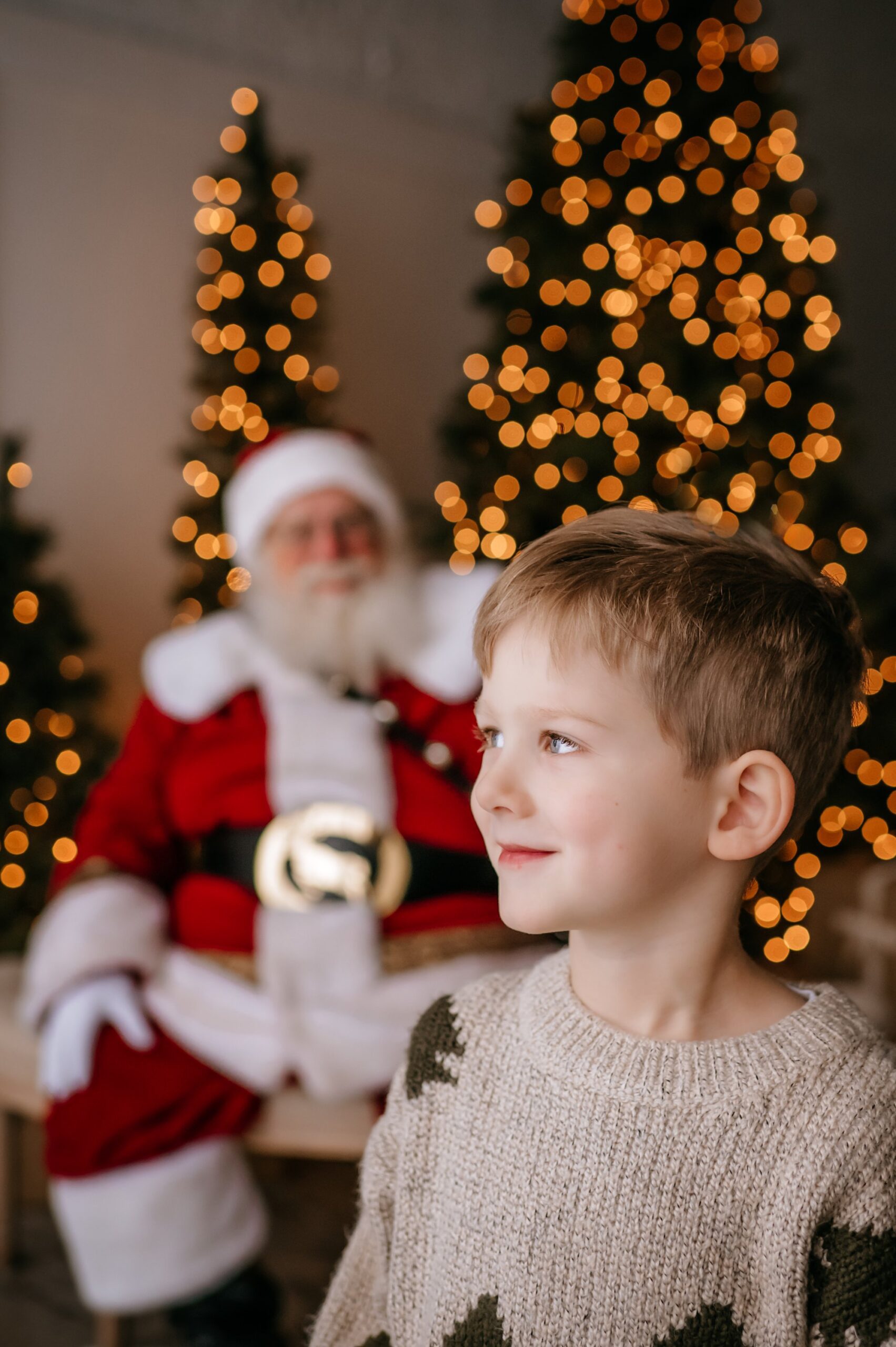 Christmas Photos with Santa in Toledo