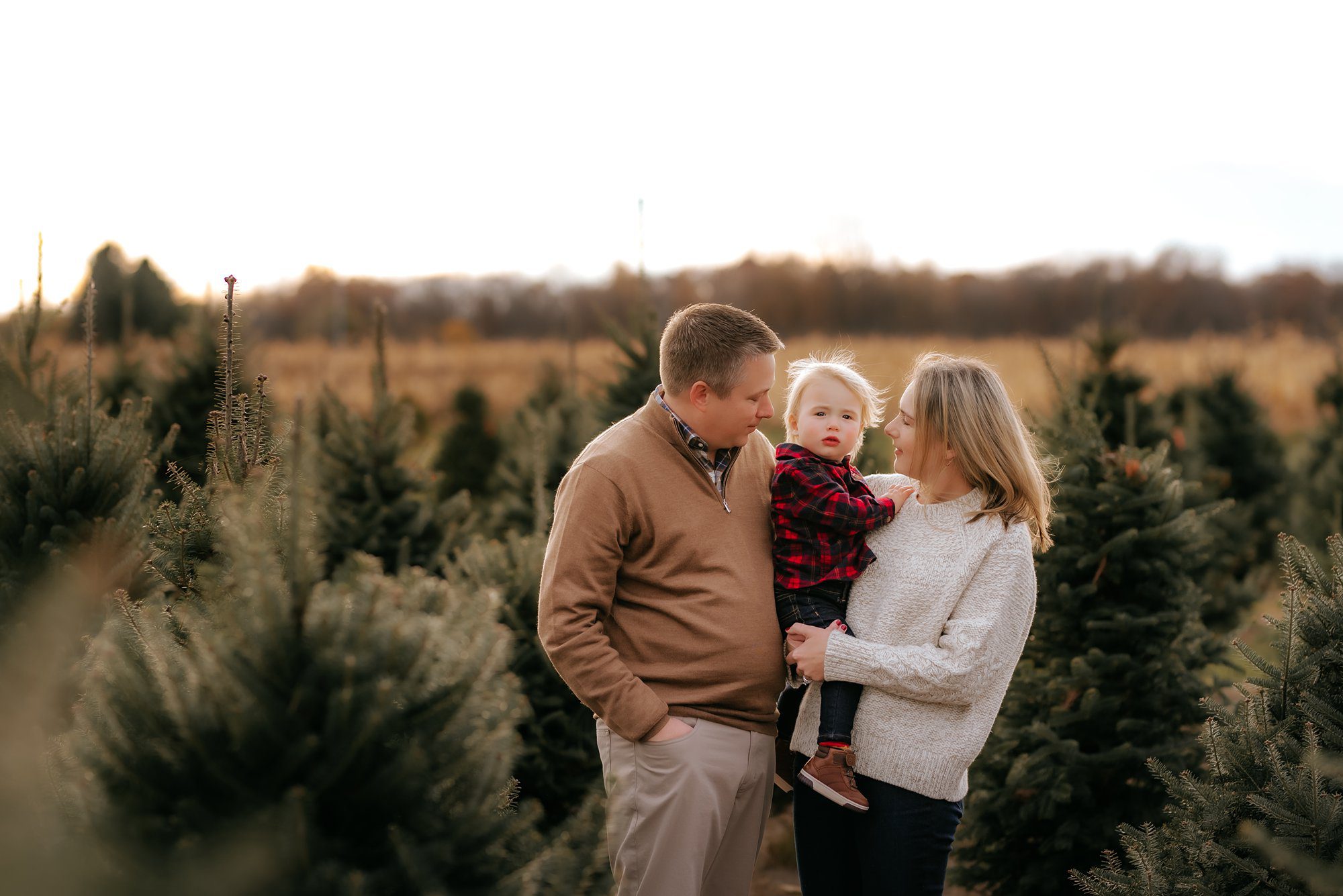photos at Matthes Tree Farm