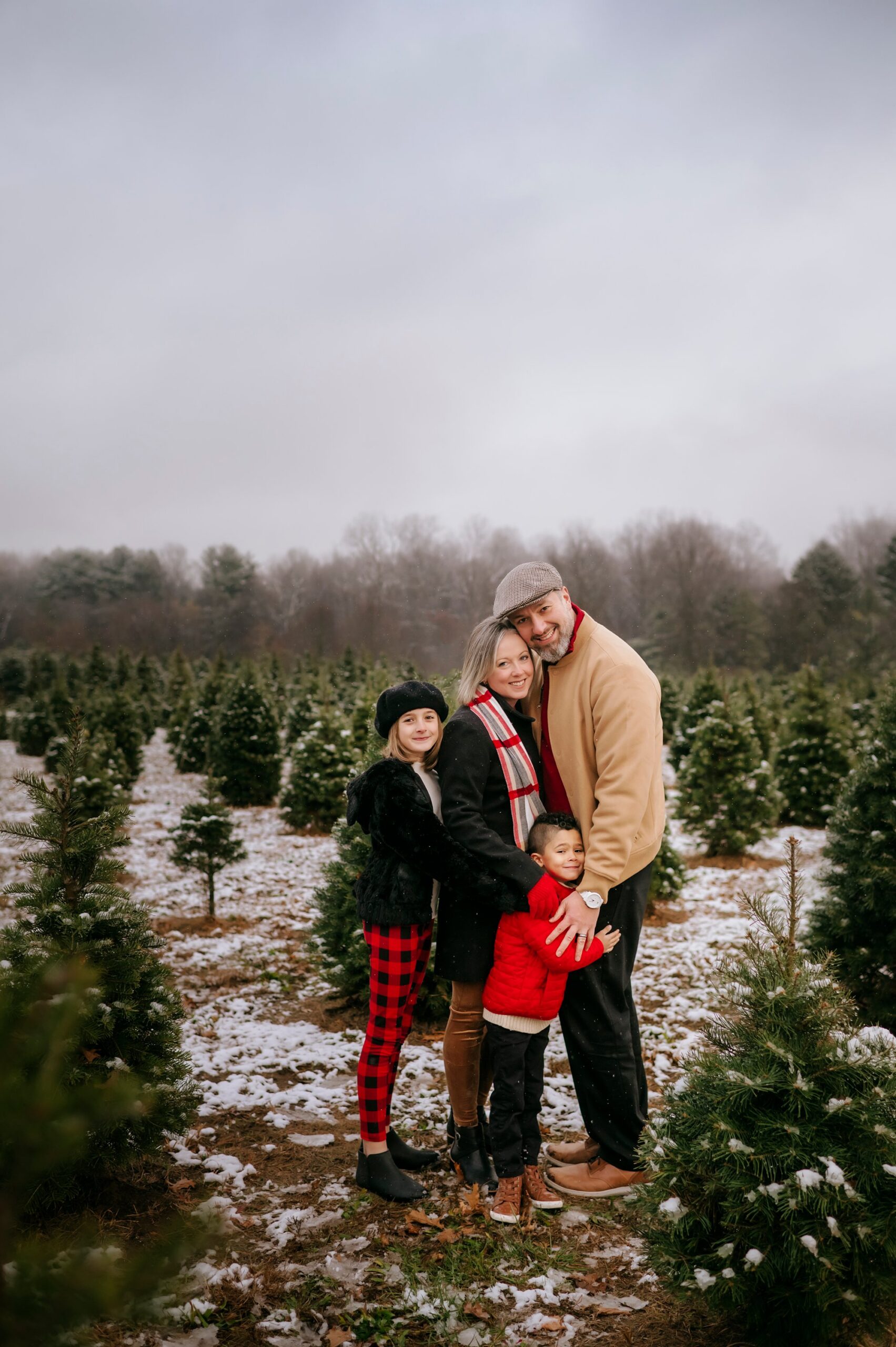 Christmas Tree Farm Photos in Toledo